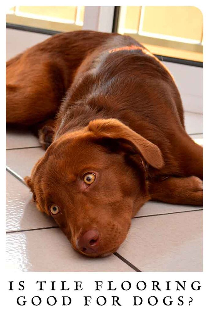 is tile flooring good for dogs